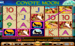 Coyote Moon