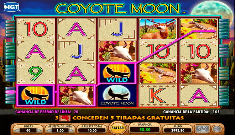 Coyote Moon