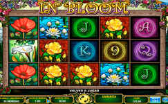 In Bloom