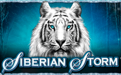 Siberian Storm