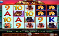 Wild Wolf