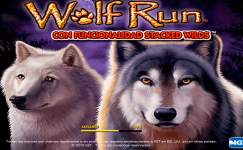 Wolf Run