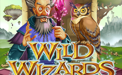 Wild Wizards