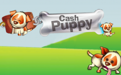 Cash Puppy