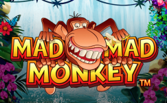 Mad Mad Monkey
