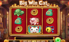 Big Win Cat