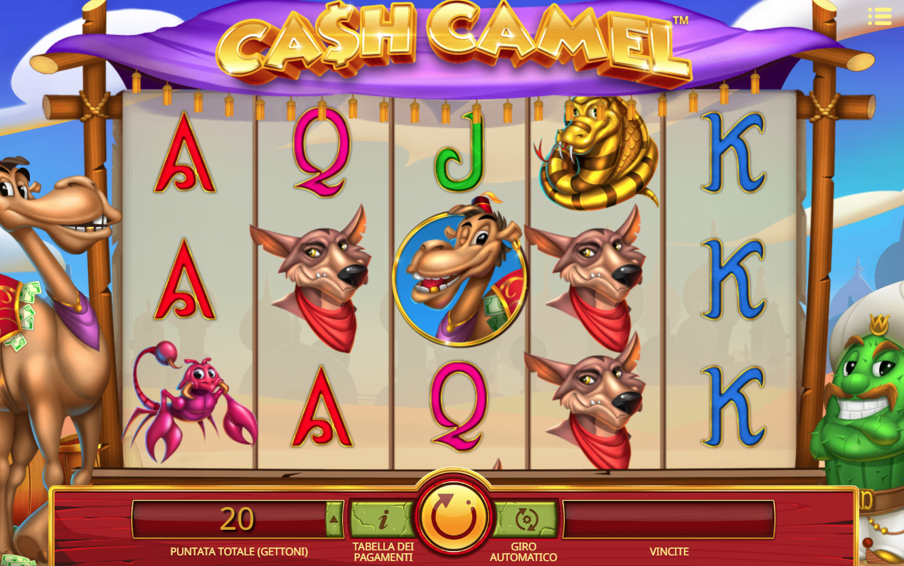 Cash Camel