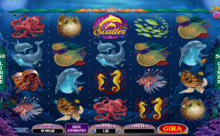 Dolphin Quest