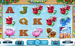 Flowers Christmas Edition