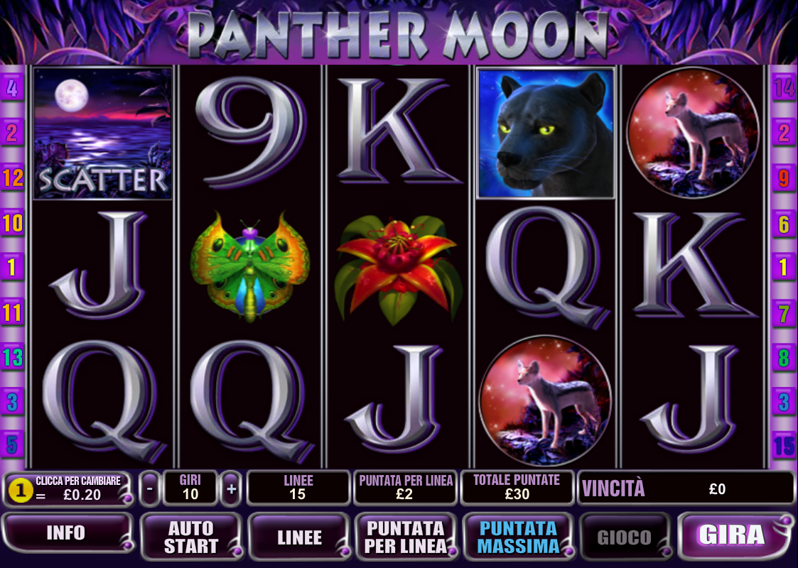 Panther Moon