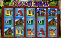Piggy Fortunes
