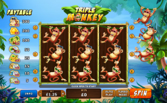 Triple Monkey