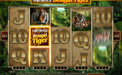 Untamed Bengal Tiger