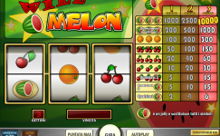 Wild Melon